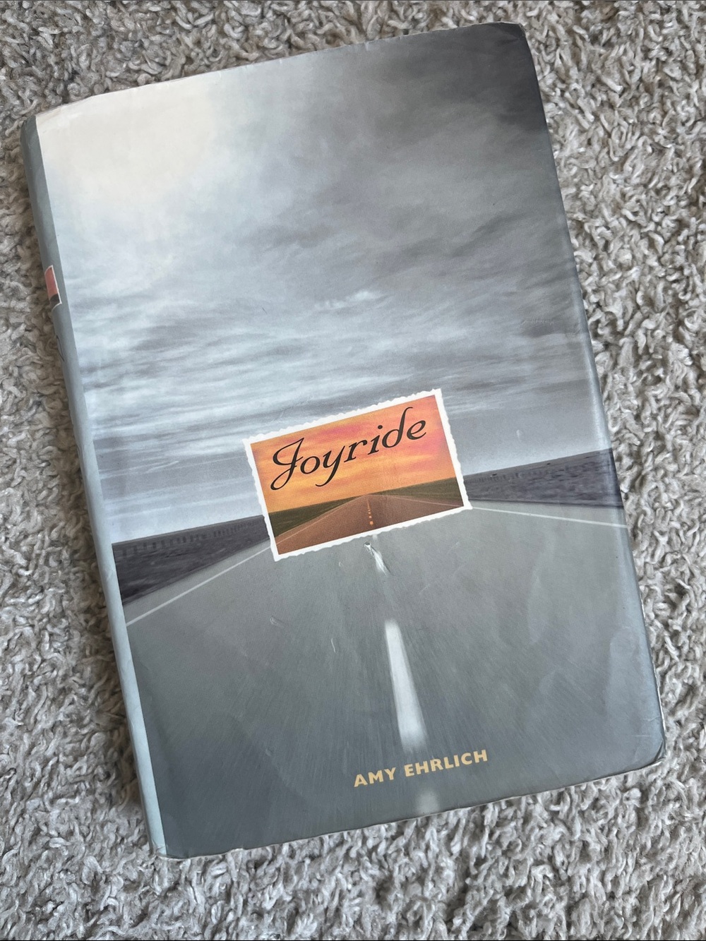 Joyride by Amy Ehrlich - Gray Road Cover with Sunset Accent